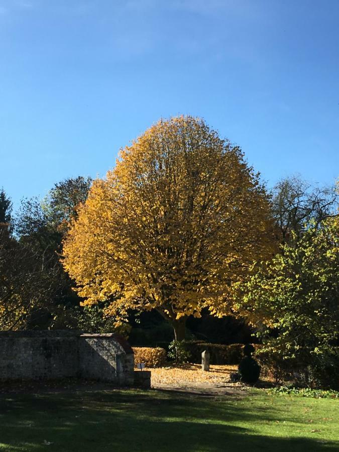 Manoir De L'Aumonerie Villa Saint-Martin-de-Boscherville Dış mekan fotoğraf